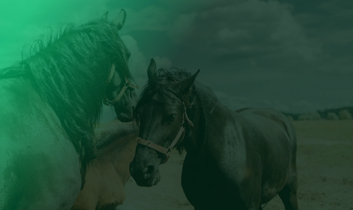 About Hero Background