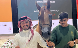 الهيئة الملكية لمحافظة العلا