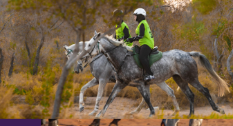 مربط وفريق السادة للقدرة والتحمل