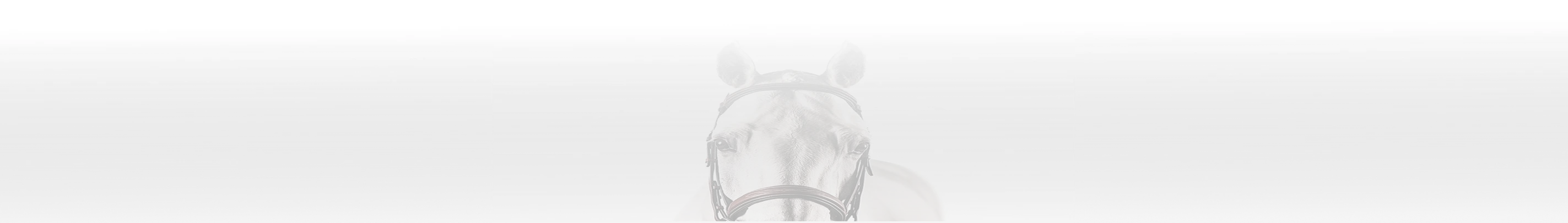 Service Header Background