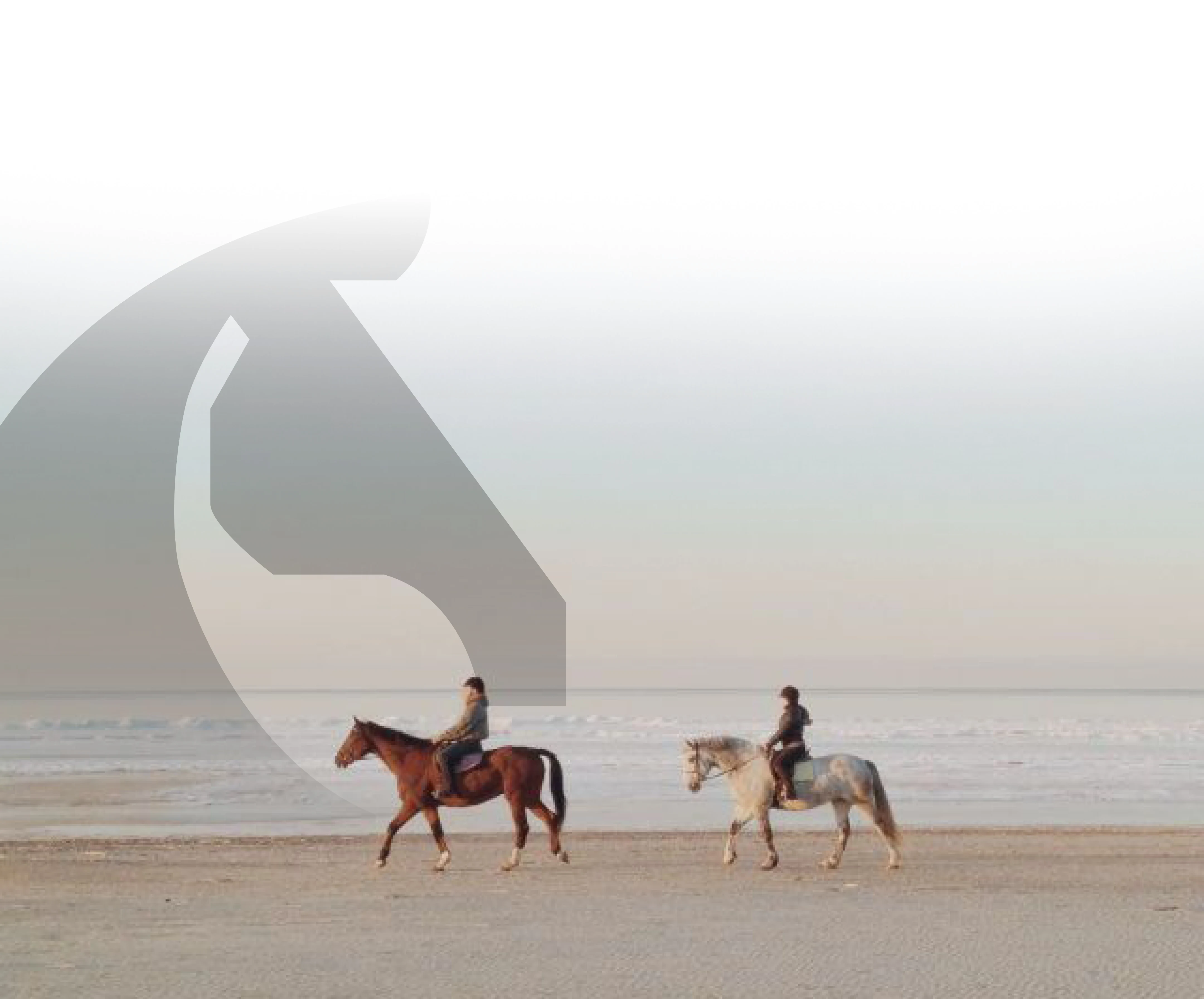 Equestrian background